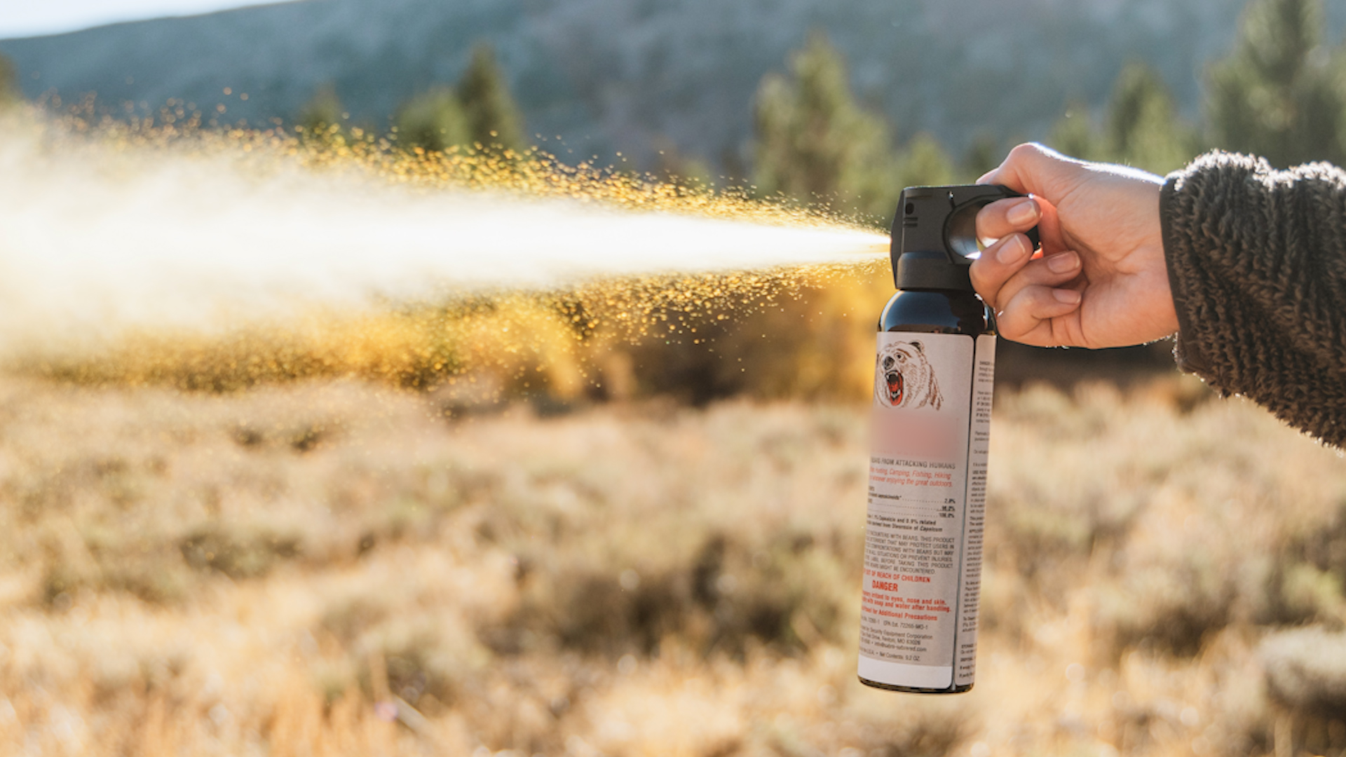 Spray anti-orso, le regole per il Corpo forestale trentino - Notizie 